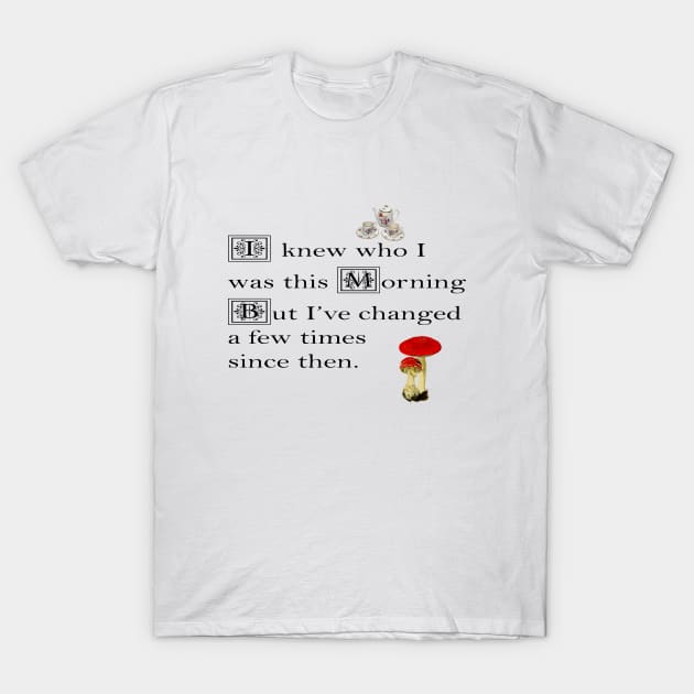 Alice in Wonderland T-Shirt by tfortwo